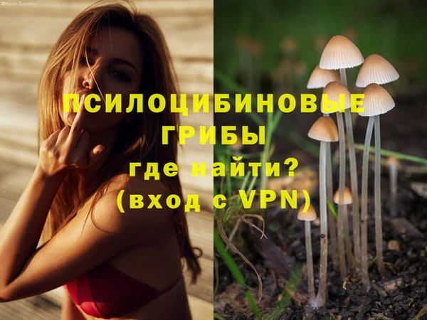мяу мяу мука Вяземский