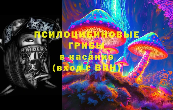 мяу мяу мука Алзамай