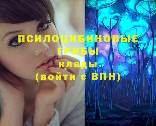 прущие крисы Алексин
