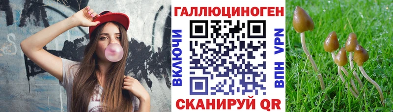 Псилоцибиновые грибы мицелий Почеп