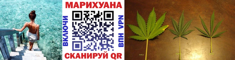 как найти закладки Почеп Бошки марихуана Amnesia